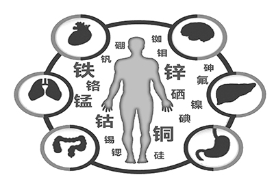 医用微量元素检测仪微量元素是什么怎么补 医用微量元素检测仪微量元素是什么怎么补