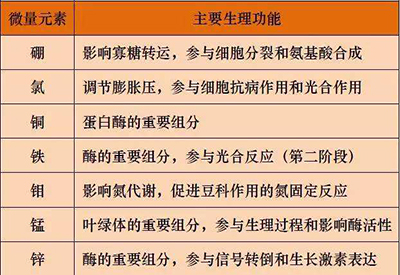 全自动微量元素检测仪厂家微量元素的对人体的生理作用 全自动微量元素检测仪厂家微量元素的对人体的生理作用