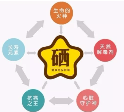 素分析仪,医用微量元素分析仪,人体微 素分析仪,医用微量元素分析仪,人体微