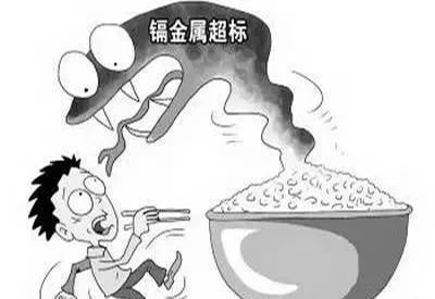 2020/1/4-全自动微量元素检测仪-国康-镉元素对人体的作用有哪些 2020/1/4-全自动微量元素检测仪-国康-镉元素对人体的作用有哪些